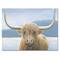 Designart - RW Highland Cow - Cottage Canvas Wall Art